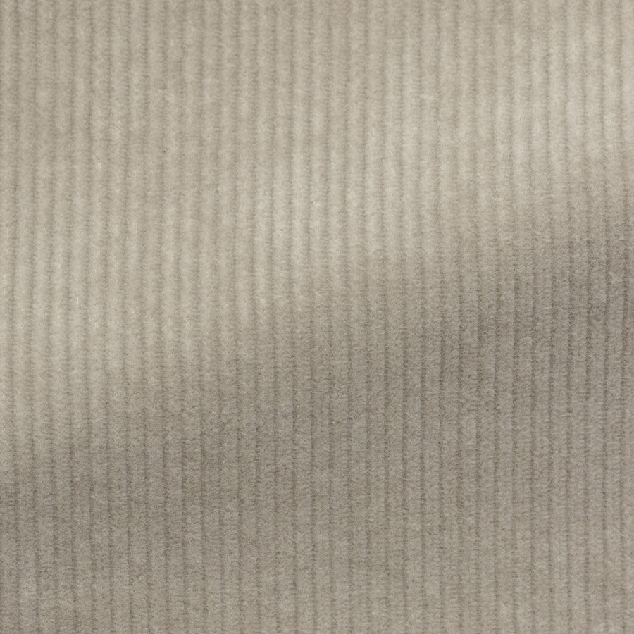 Suit - Bone Stretch Cotton Corduroy 5918